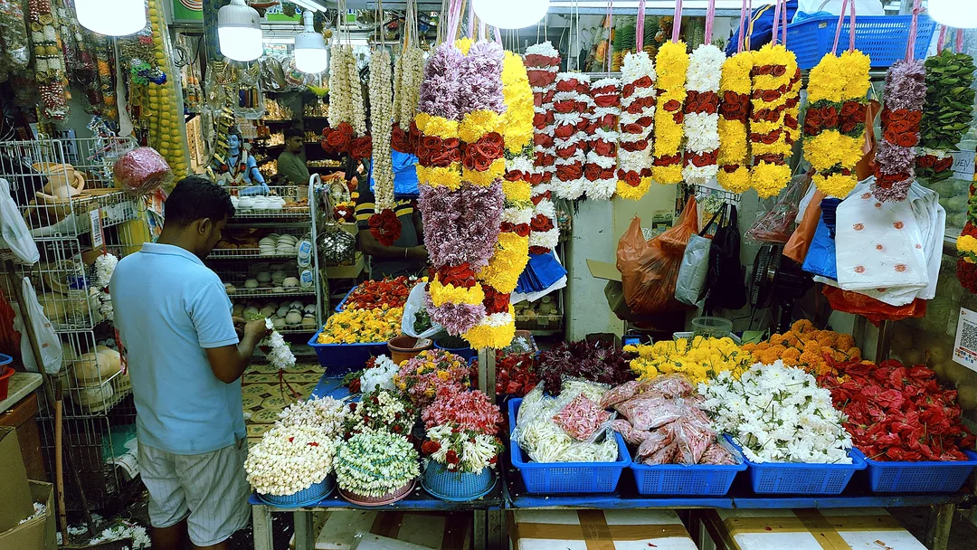 Image description